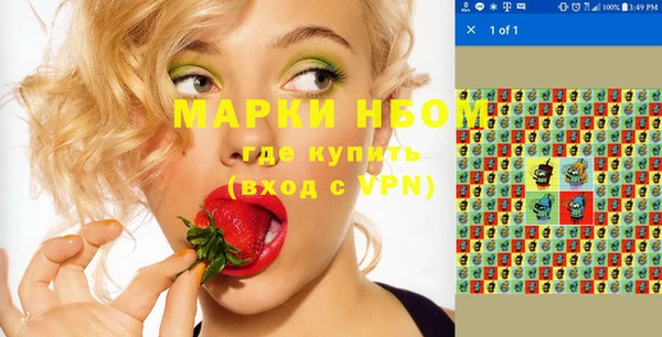 амф Елабуга