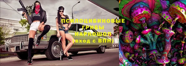 амф Елабуга