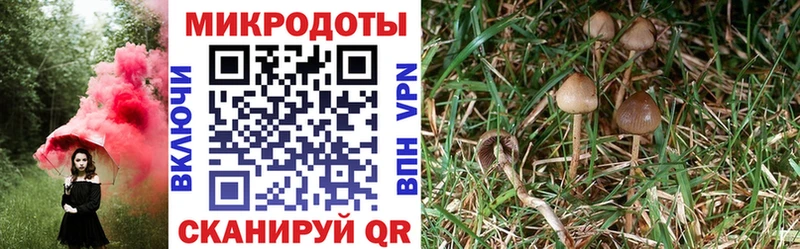 Галлюциногенные грибы GOLDEN TEACHER  Разумное 
