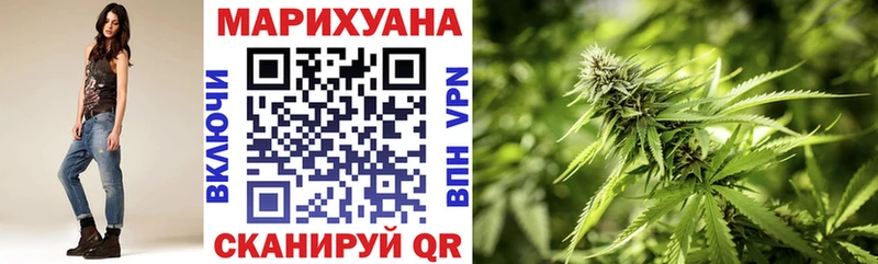 Бошки Шишки планчик  Разумное 